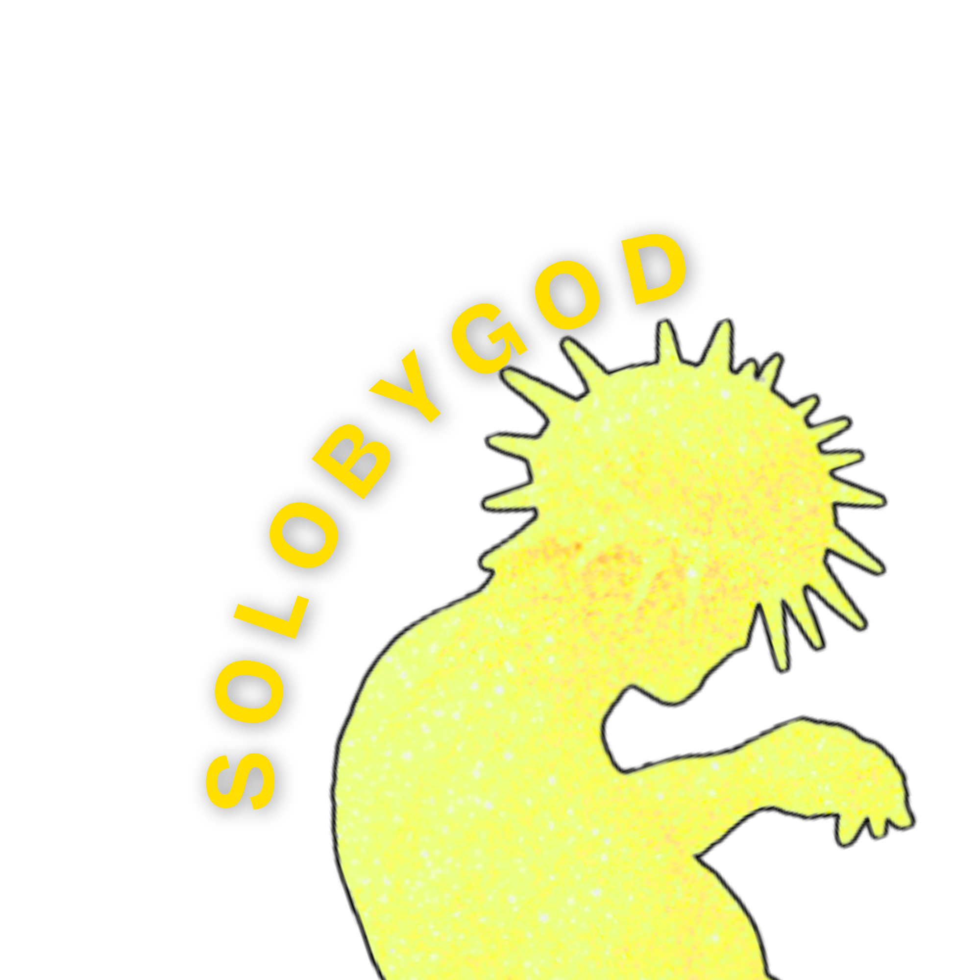 SOLOBYGOD LLC